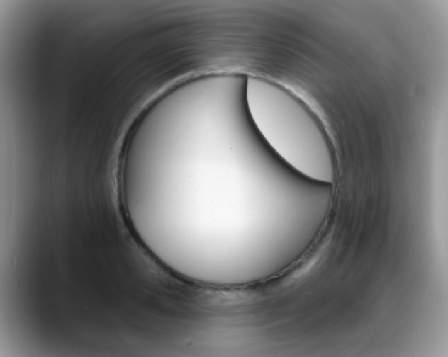 X0000088880941200706080738