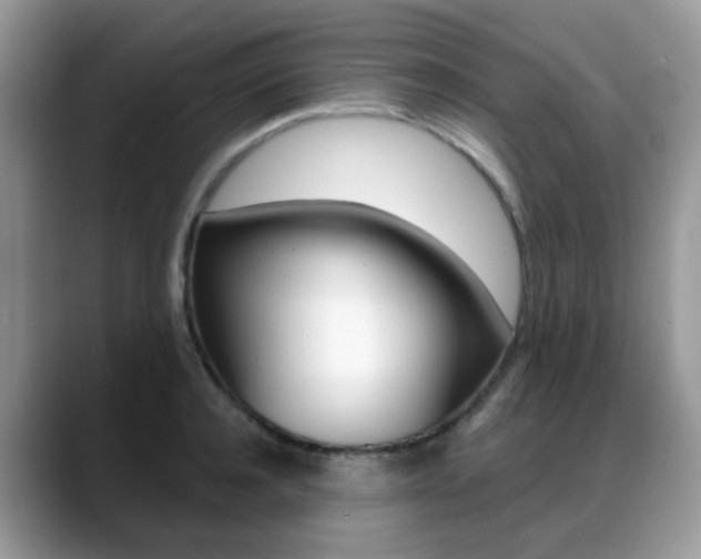 X0000088880944200706080738