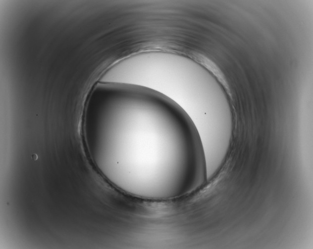 X0000088880946200706080738