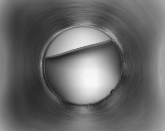 X0000088880947200706080738