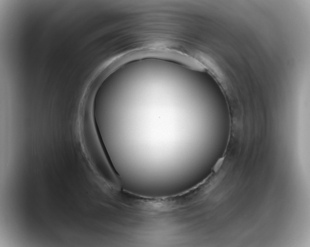 X0000088880948200706080738