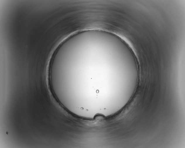 X0000088880949200706080738