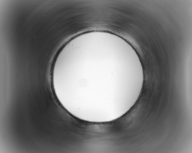 X0000088880950200706080738