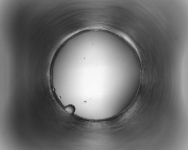 X0000088880951200706080738