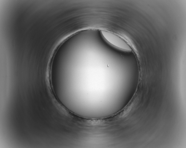 X0000088880952200706080738