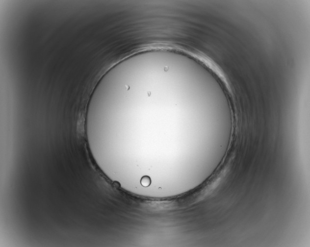 X0000088880953200706080738