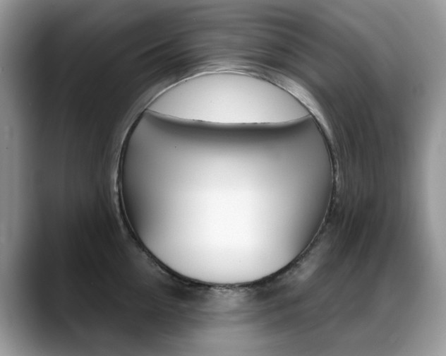 X0000088880954200706080738