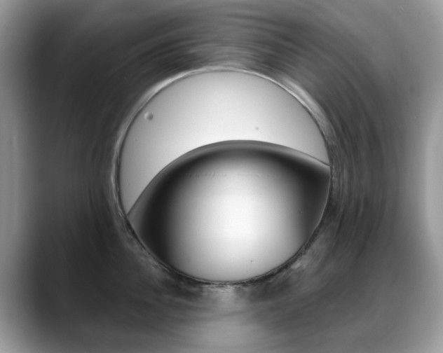 X0000088880956200706080738