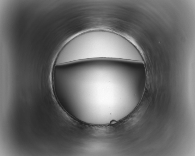 X0000088880959200706080738