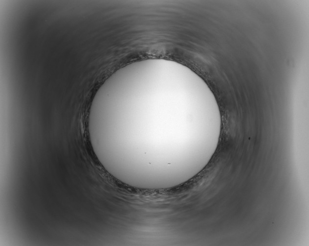 X0000088880962200706080738