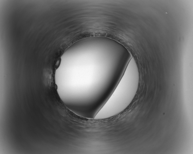 X0000088880963200706080738