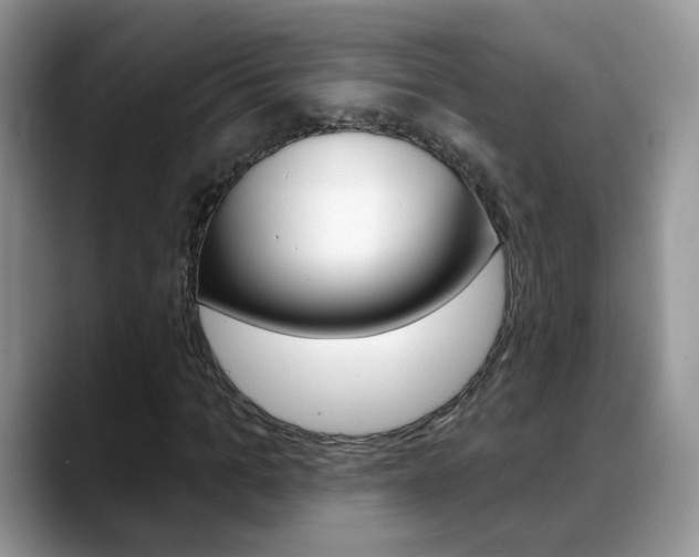 X0000088880965200706080738