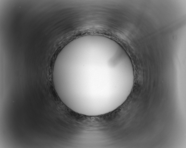 X0000088880966200706080738