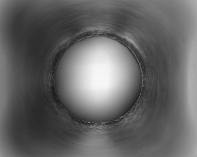X0000088880967200706080738
