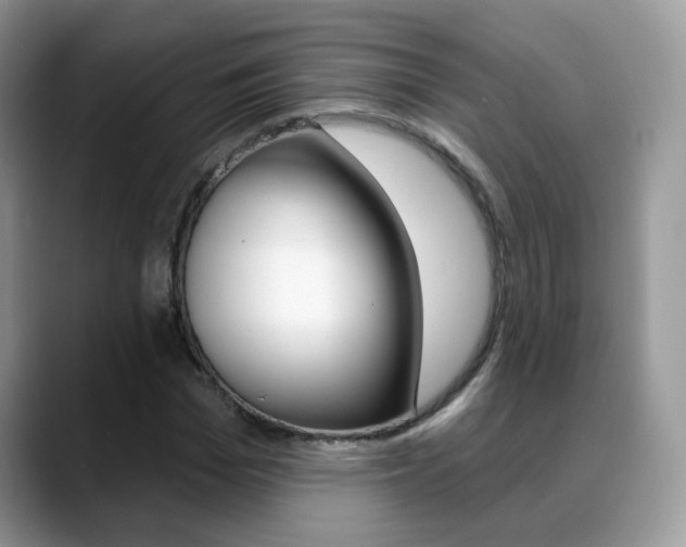 X0000088880969200706080738