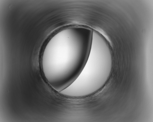 X0000088880972200706080738