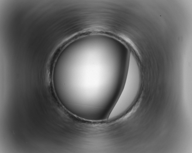 X0000088880973200706080738