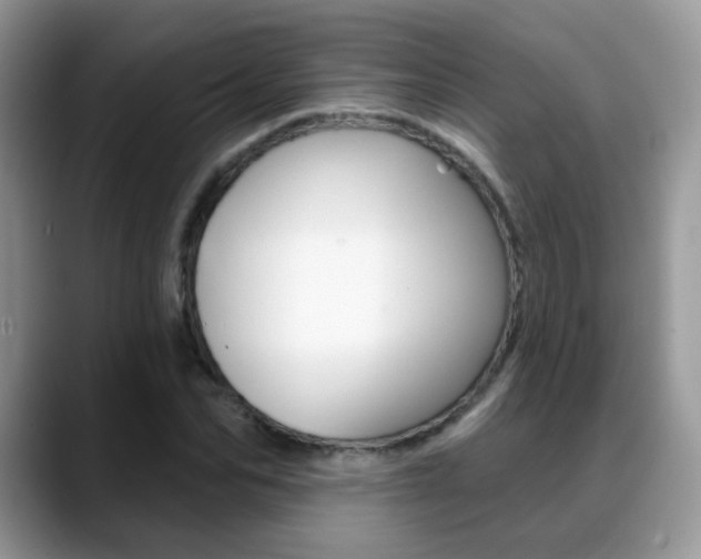 X0000088880974200706080737
