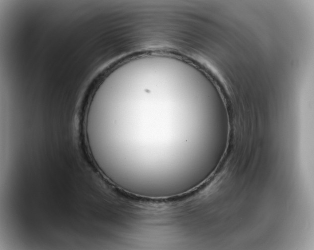 X0000088880975200706080737