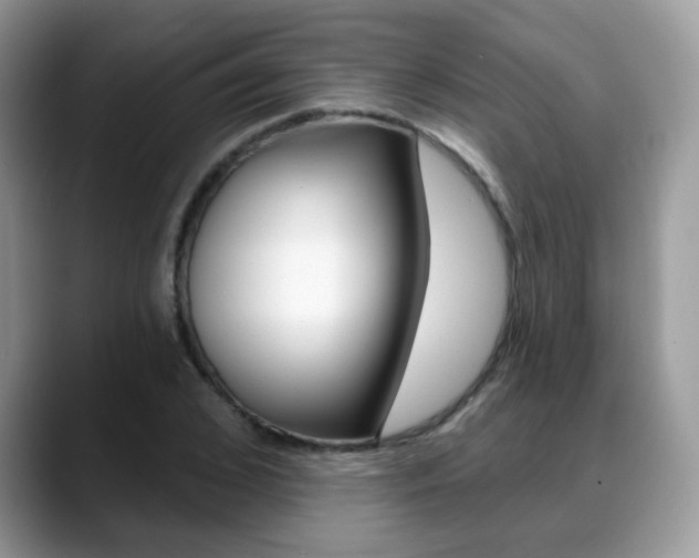 X0000088880976200706080737