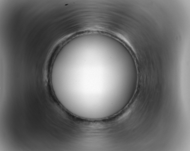 X0000088880979200706080737
