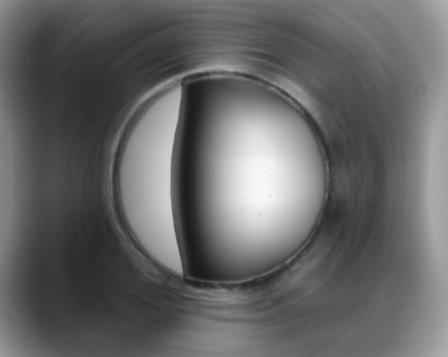 X0000088880980200706080737