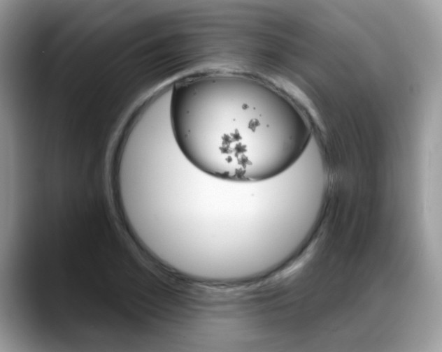 X0000088880981200706080737