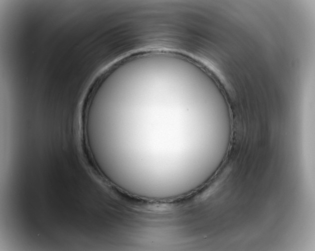 X0000088880982200706080737