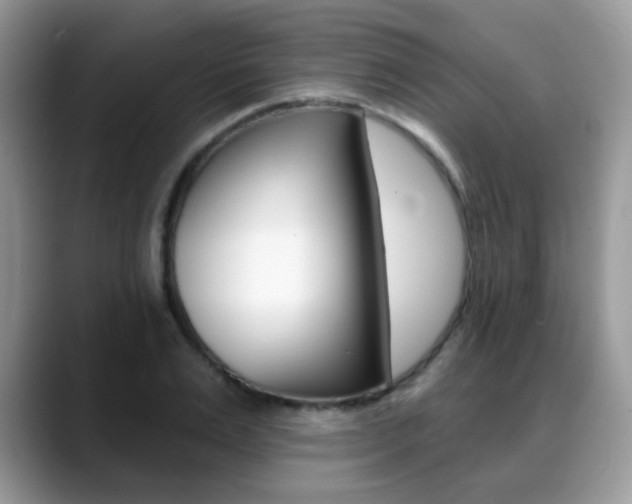 X0000088880983200706080737