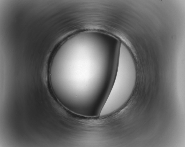 X0000088880984200706080737