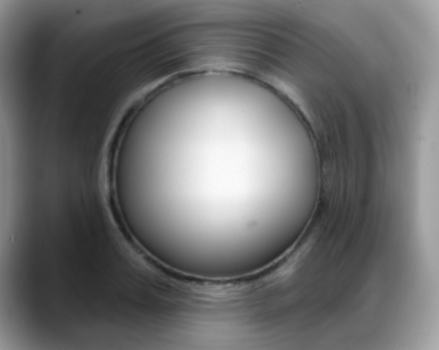 X0000088880987200706080737