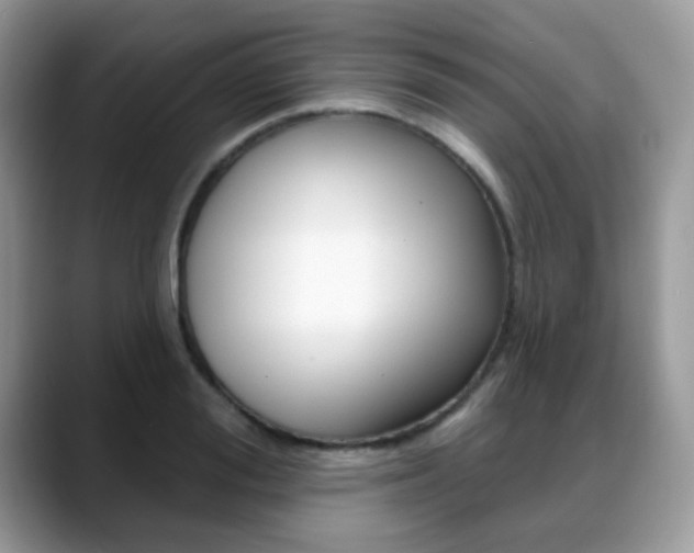 X0000088880988200706080737