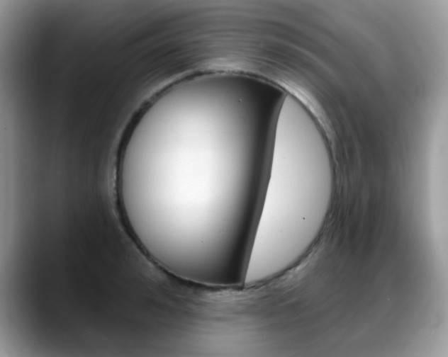 X0000088880992200706080737