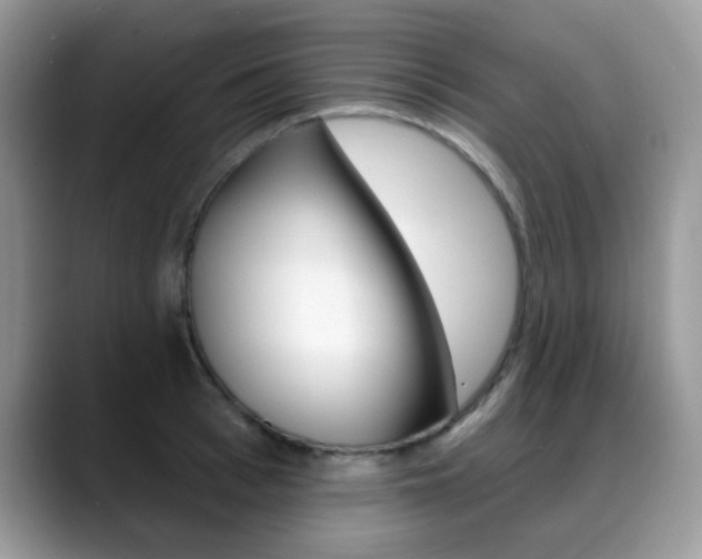 X0000088880993200706080737