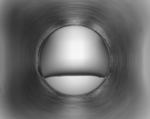 X0000088880994200706080737