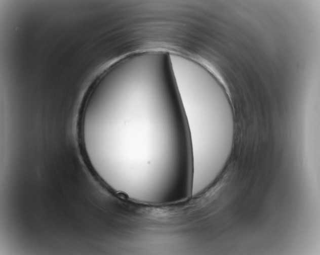 X0000088880995200706080737