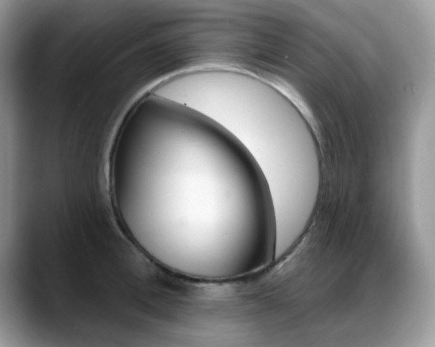 X0000088880996200706080737