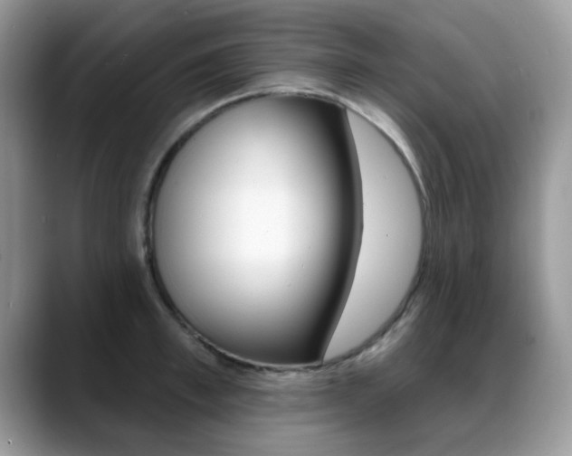 X0000088880997200706080737