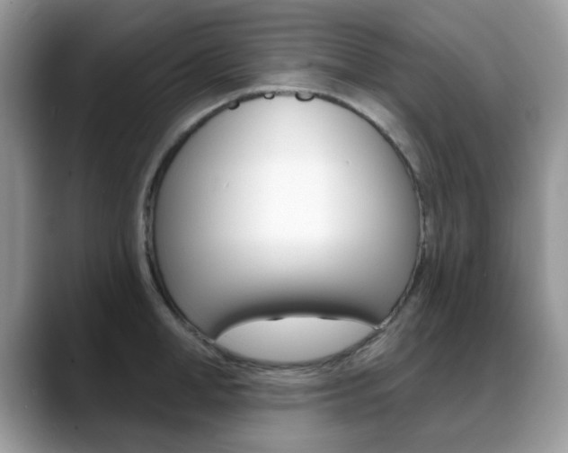 X0000088880998200706080737