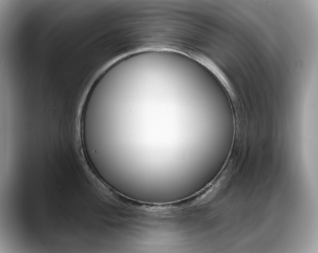 X0000088881004200706080737