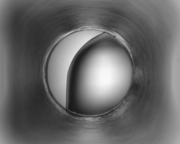 X0000088881005200706080737
