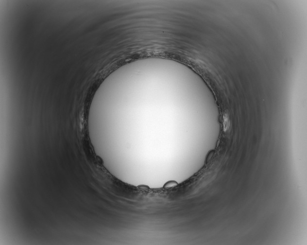 X0000088881011200706080736