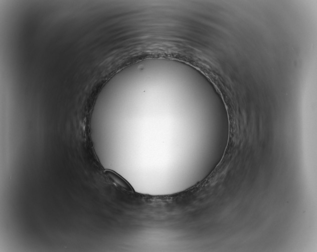 X0000088881013200706080736