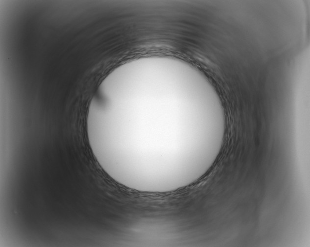 X0000088881014200706080736
