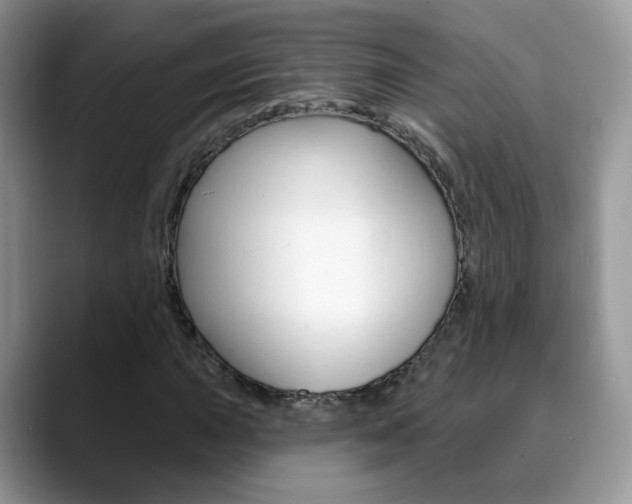 X0000088881015200706080737