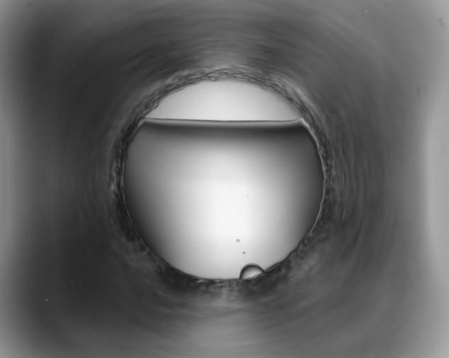 X0000088881016200706080737