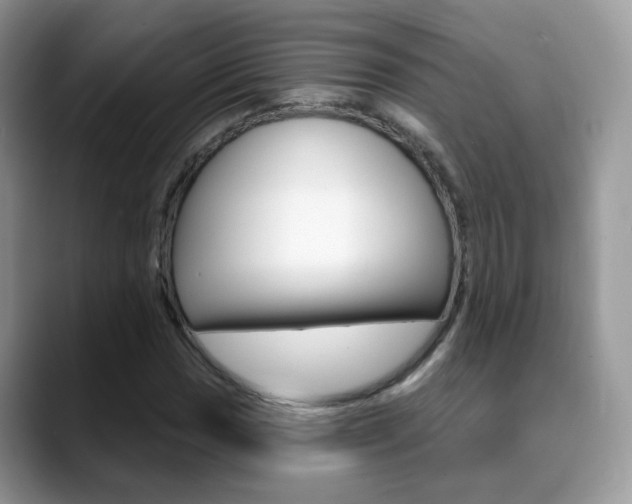 X0000088881017200706080737