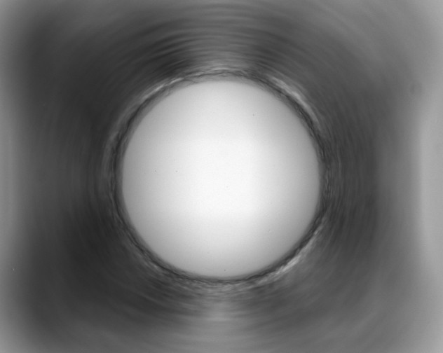 X0000088881018200706080737