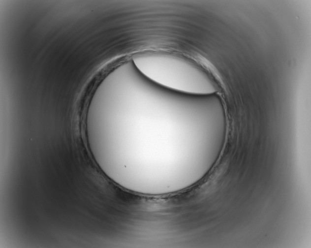 X0000088881019200706080737