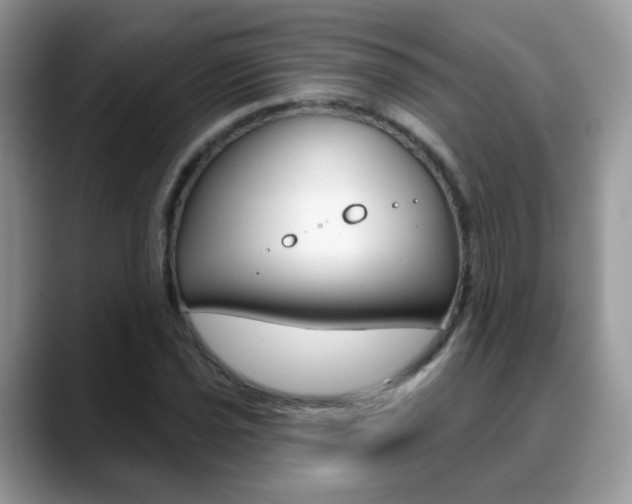 X0000088881021200706080737